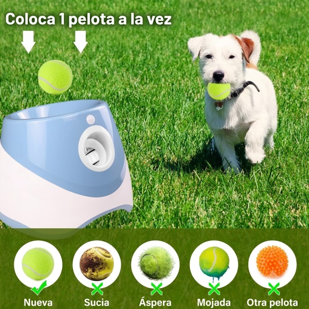 Lanzador de Pelotas para Perros