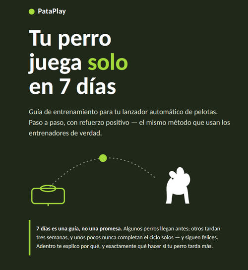 Tu Perro jugara SOLO Guia Definitiva PDF